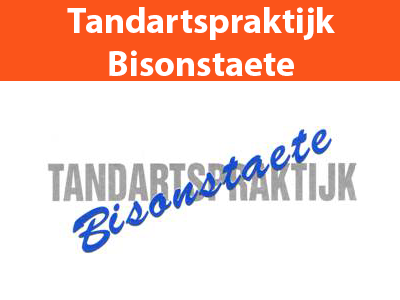Bisonstaete